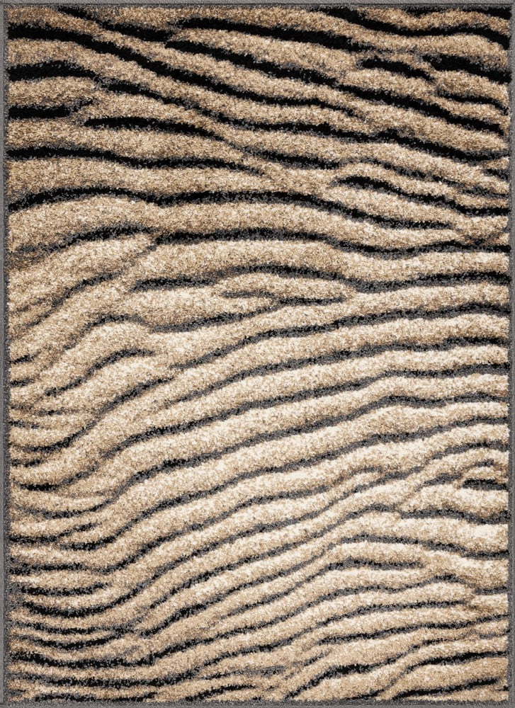 Hnědý koberec 80x120 cm Avanti – FD FD
