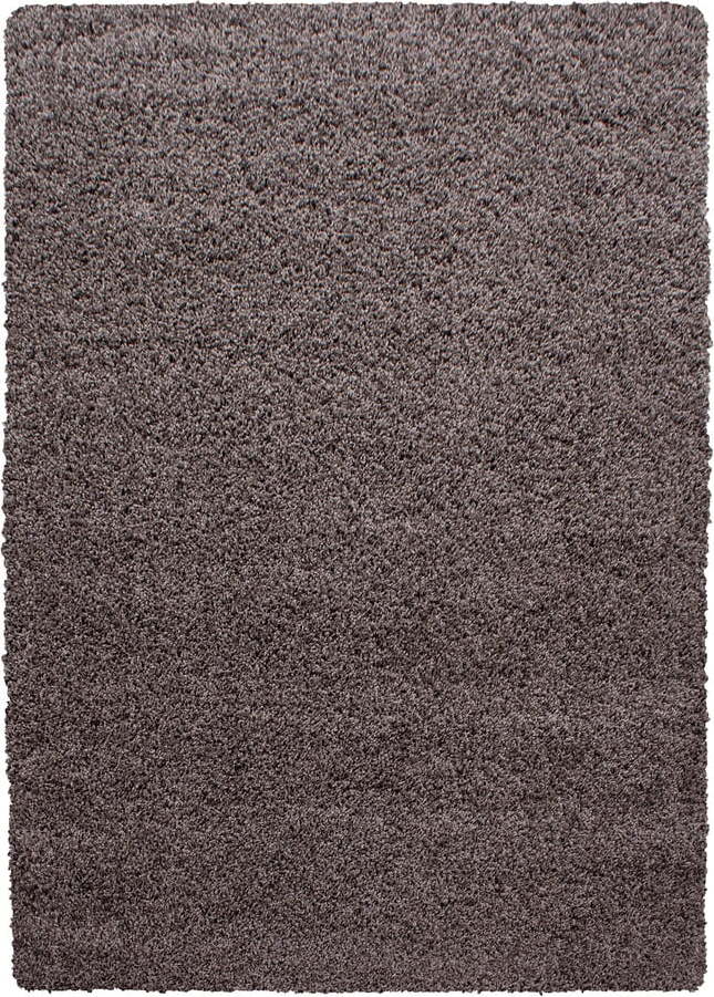 Hnědý koberec 80x150 cm Life – Ayyildiz Carpets Ayyildiz Carpets